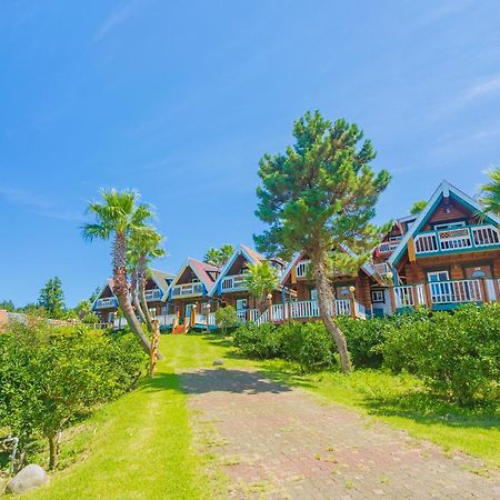 Jungmun Log Pension&Resort Seogwipo Bagian luar foto