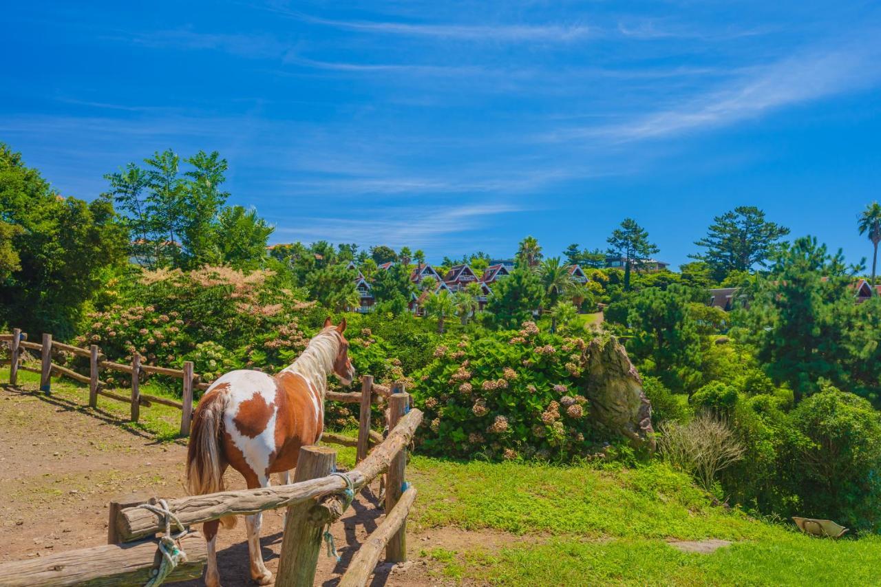 Jungmun Log Pension&Resort Seogwipo Bagian luar foto
