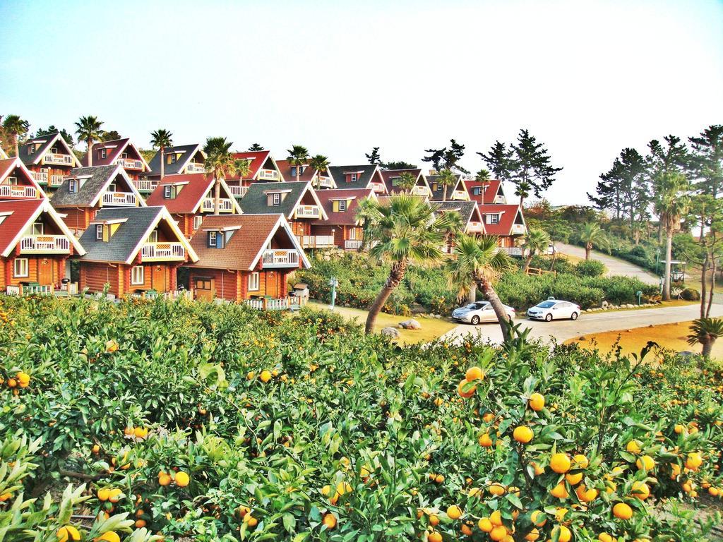 Jungmun Log Pension&Resort Seogwipo Bagian luar foto
